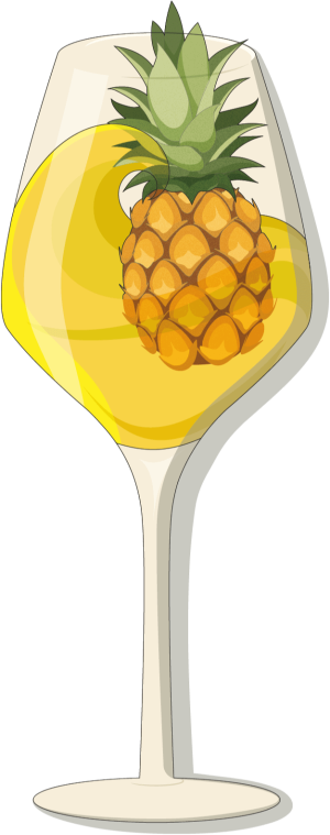 Vermentino VDF